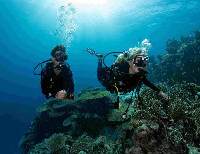 Plongée Découverte à Djerba – Initiez-vous à la plongée jusqu’à 5 mètres de profondeur