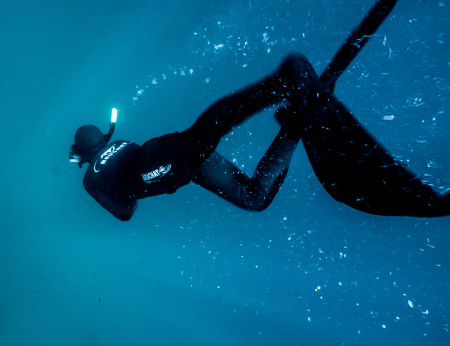 Forfait 3 Plongées à Djerba – Explorez les fonds marins en toute liberté