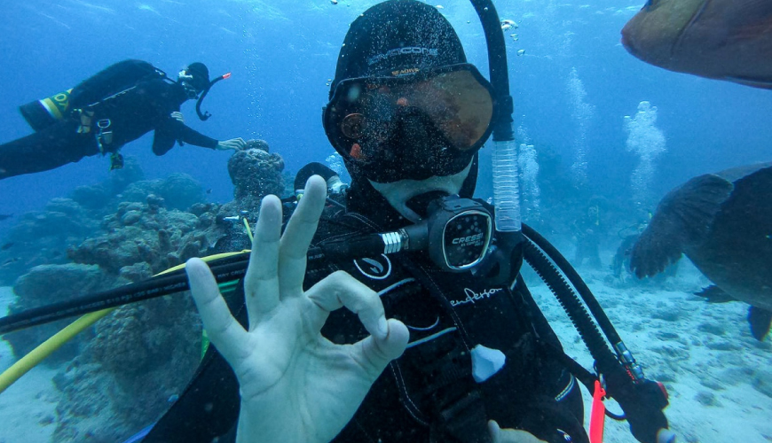 Best Seasons to Dive in Djerba: Weather, Temperature & Visibility