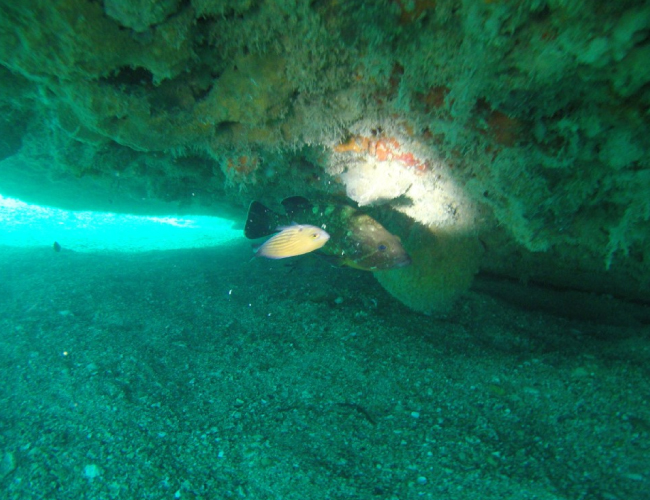 Plongée Épave Atitalah – 38 minutes d’exploration sous la mer