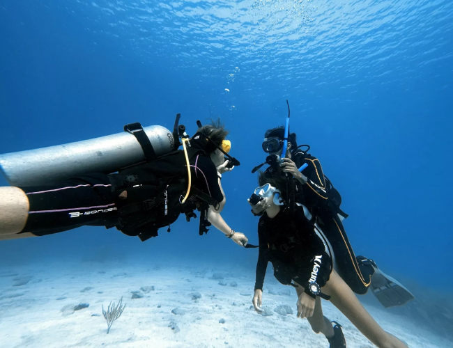 Forfait 5 Plongées à Djerba – Explorez en profondeur les merveilles sous-marines
